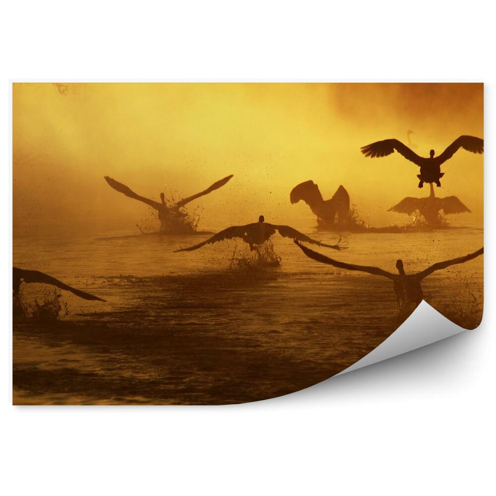 Decor fototapet Lebede În Zbor Peste Râu