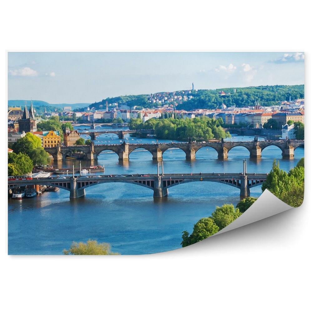 Fototapet Republica Cehă arhitectură plante