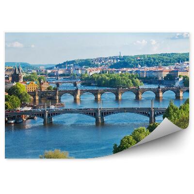 Fototapet Republica Cehă arhitectură plante