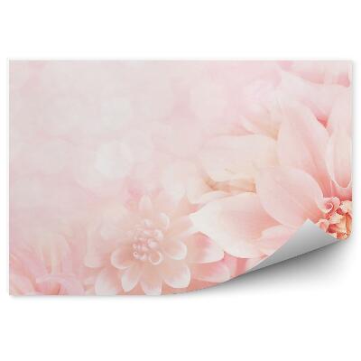 Fototapet pentru perete Dahlia roz flori petale puncte