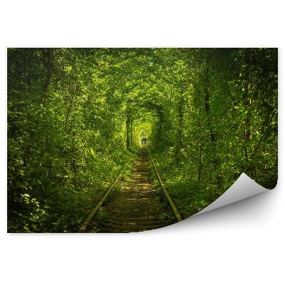 Fototapet vintage Pădure Veche Și Tunel Feroviar