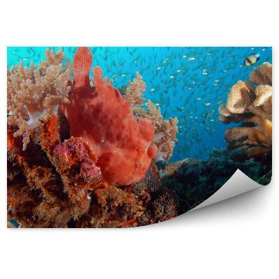 Fototapet vintage Pește De Pescuit Printre Corali