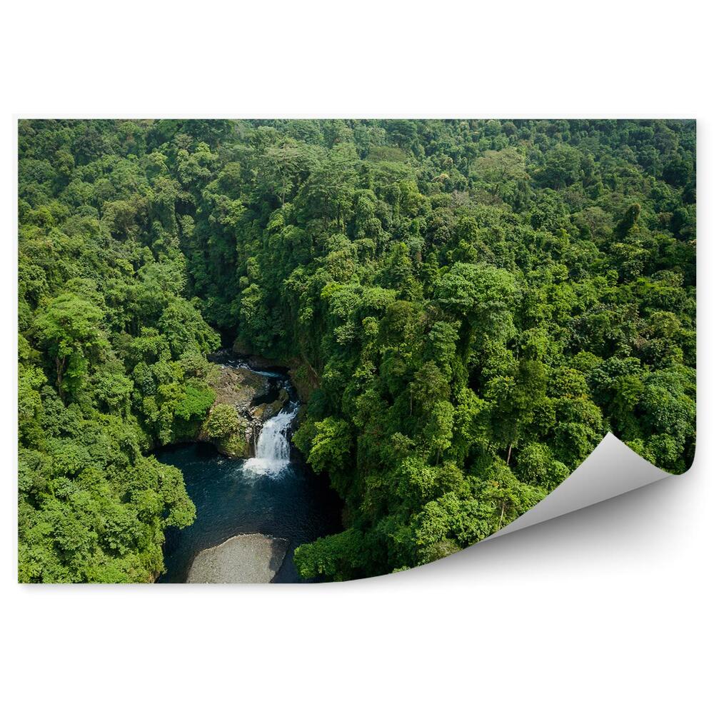 Fototapet pentru perete Pădure râu natura natură