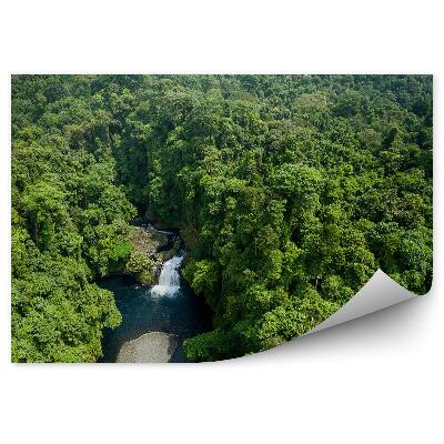 Fototapet pentru perete Pădure râu natura natură