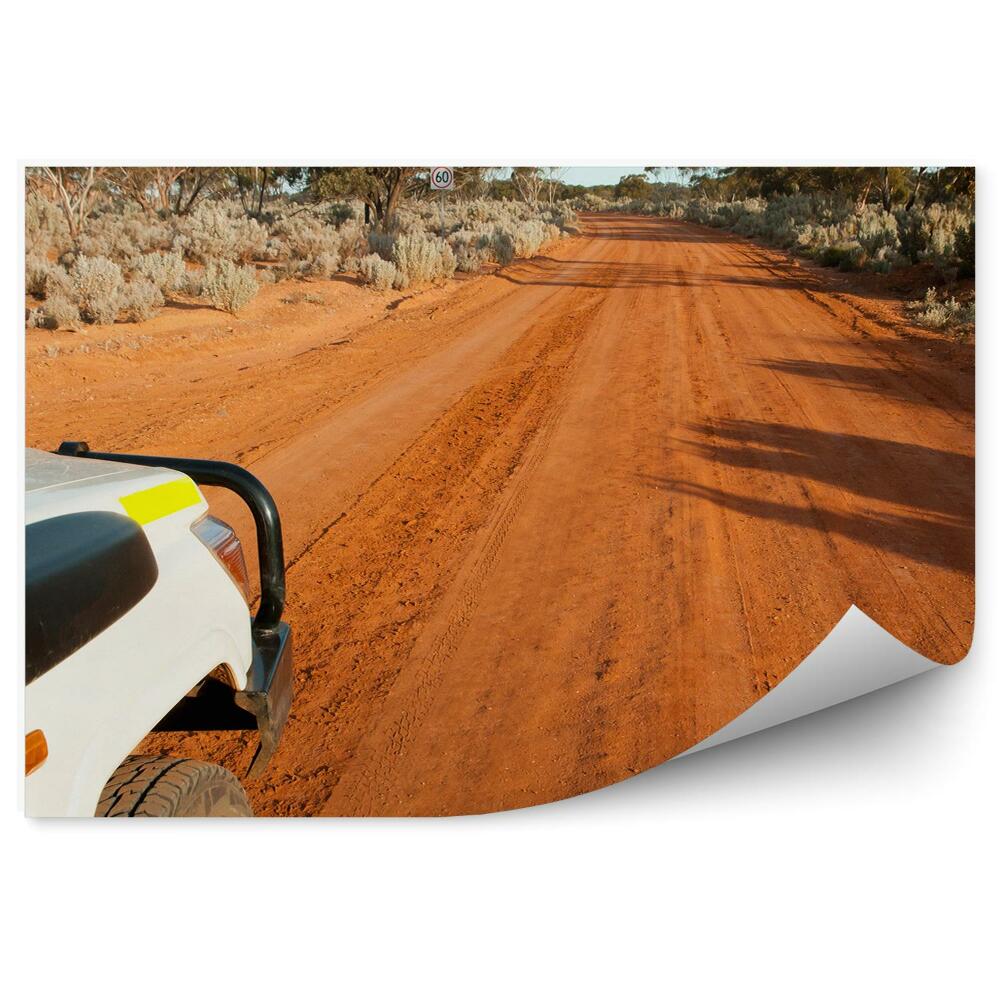 Fototapet Drum nisip natura vegetație safari