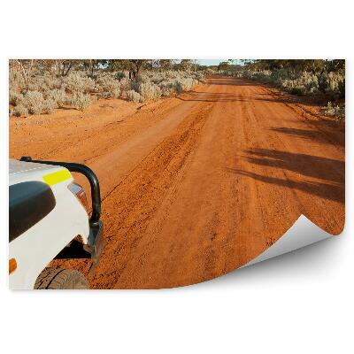 Fototapet Drum nisip natura vegetație safari