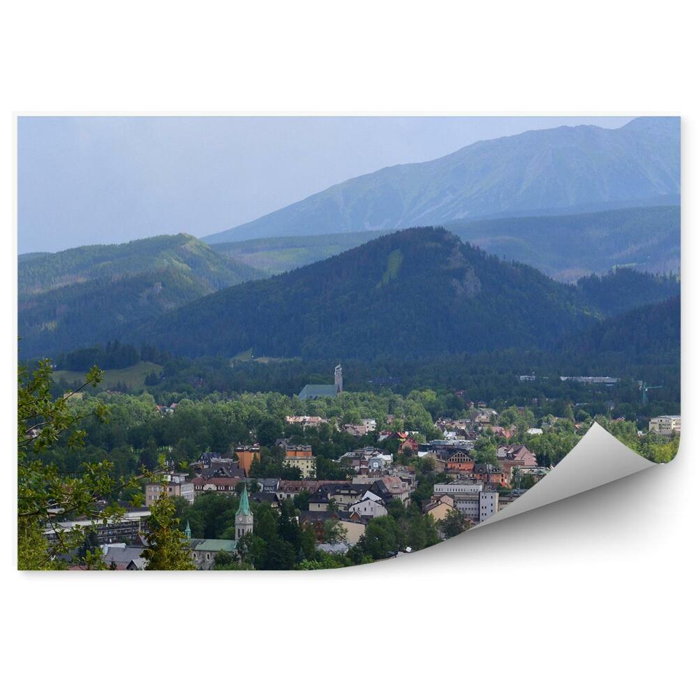 Fototapet perete Vedere Zakopane Case Munți Copaci Plante Cer Nori