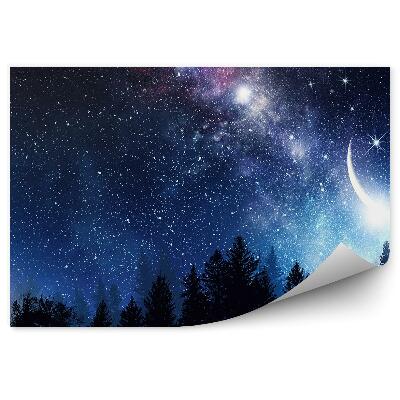 Fototapet pentru perete Conifere Cer Cer Înstelat Calea Lactee Luna