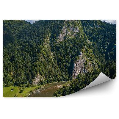 Decor fototapet Vedere Aeriană A Râului Dunajec Din Munții Pieniny