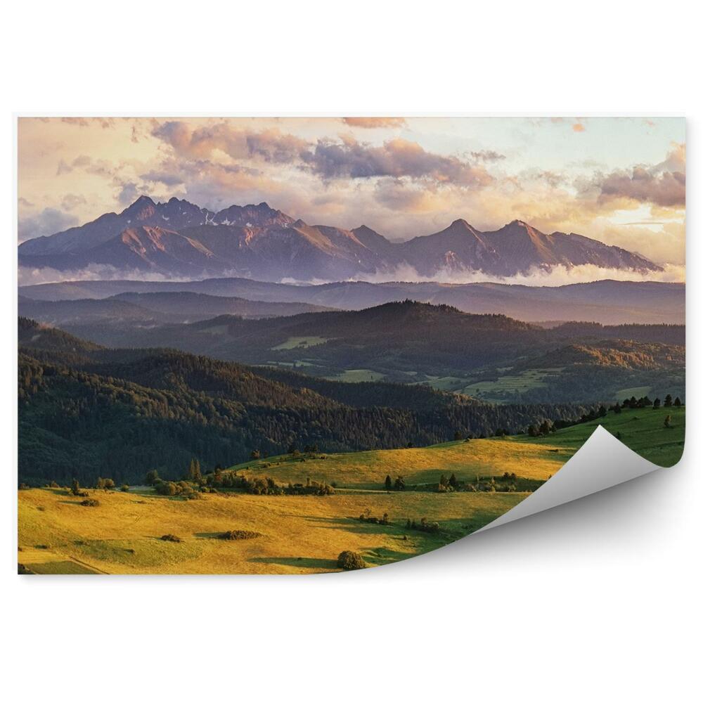 Fototapet perete Munți Câmpuri Verzi Copaci Ceață Cer Nori Slovacia