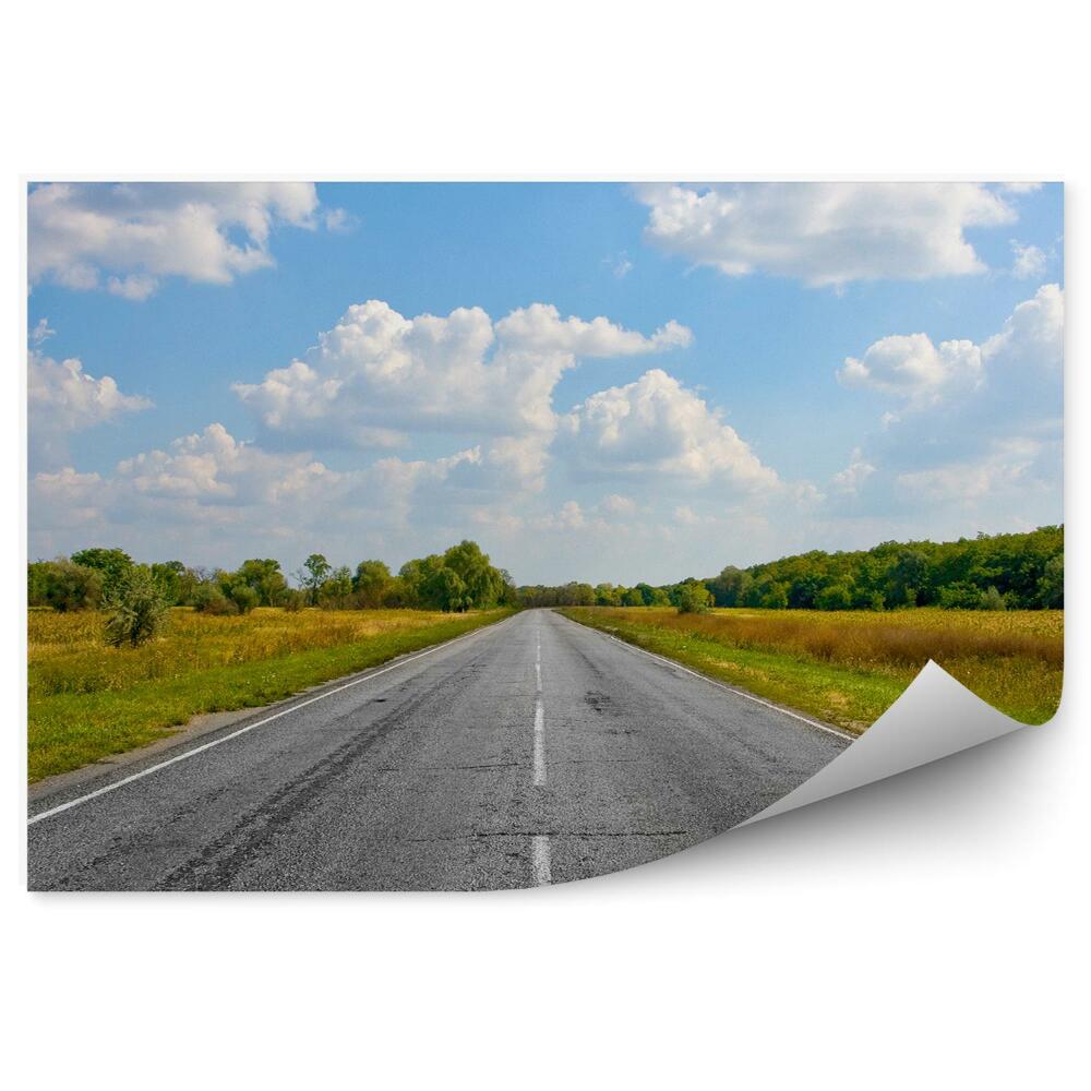 Fototapet perete Drum gol, iarbă natură