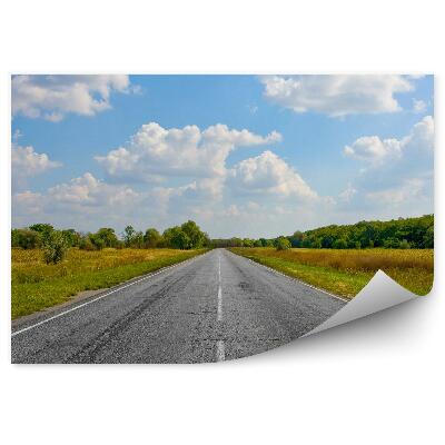 Fototapet perete Drum gol, iarbă natură