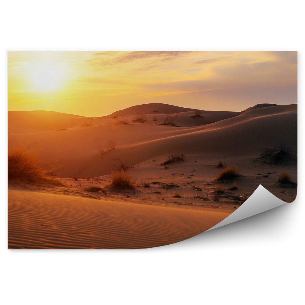 Fototapet perete Plante De Deșert Apus De Soare Cer Nori