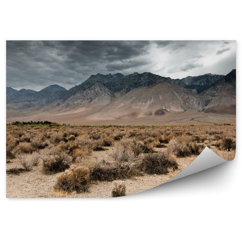 Fototapet vintage Nori Întunecați Munți Natură Plajă Cer Nori Valea Morții