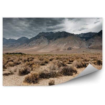 Fototapet vintage Nori Întunecați Munți Natură Plajă Cer Nori Valea Morții