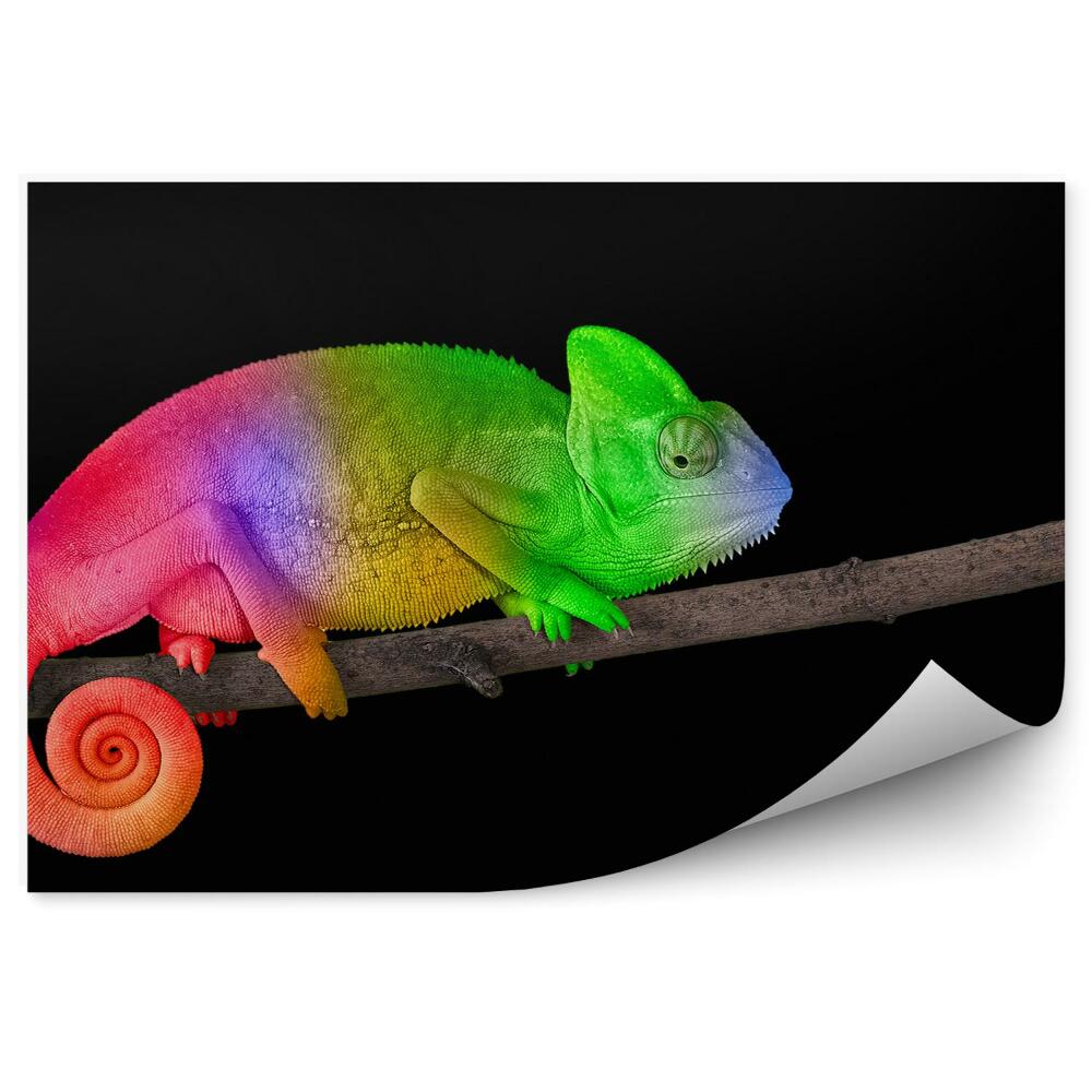 Fototapet vintage Cameleon Viu Colorat