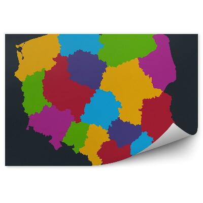 Fototapet vintage Harta color a Voievodatului Polonia