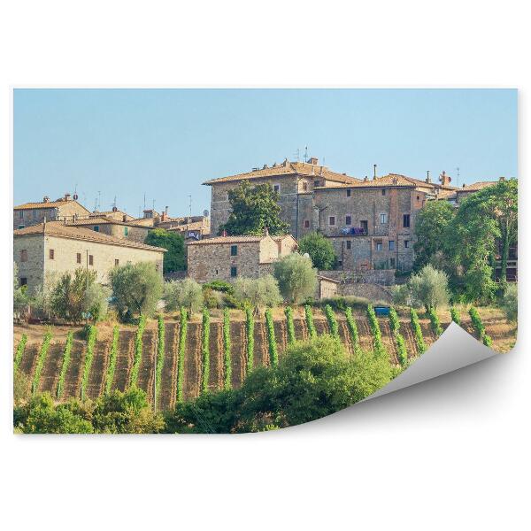 Fototapet vintage Construirea Copaci Podgorie Cer Nori Toscana