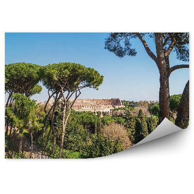 Fototapet perete Vedere La Colosseum, Copaci, Verde, Cer, Roma, Italia, Alee