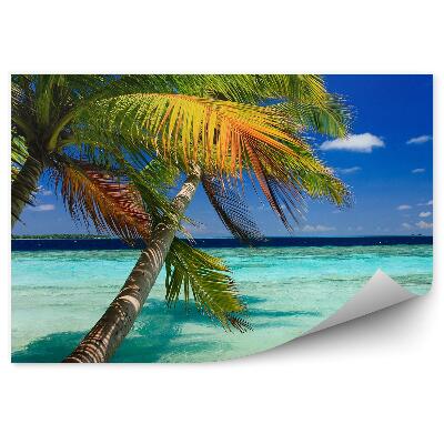 Decor fototapet Palmieri valuri insule de apă exotice