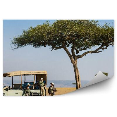 Fototapet perete Familia safari în copaci continuă