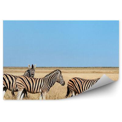 Decor fototapet Zebre Savana Africa Cer