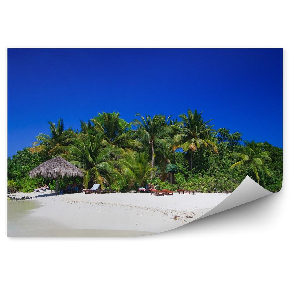 Fototapet Palmieri exotici de pe insula tropicală