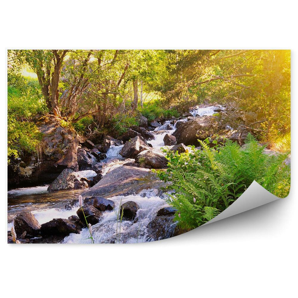 Fototapet Munți, Râu, Pârâu, Pietre, Natură, Verde