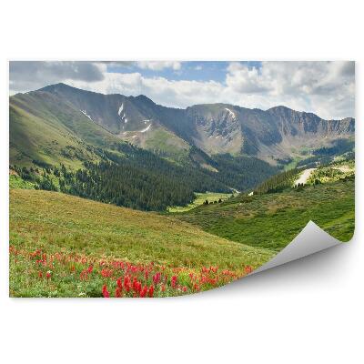 Decor fototapet Alpii Flori De Luncă Vegetație Verde