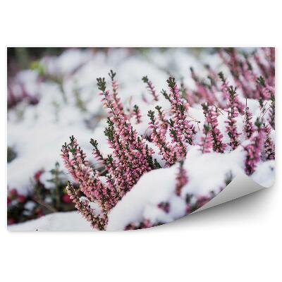 Fototapet Heathers în zăpadă