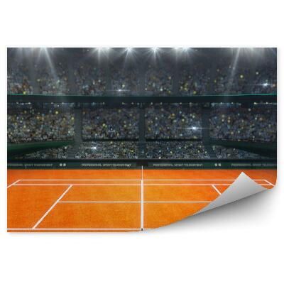 Fototapet perete Terenuri de tenis