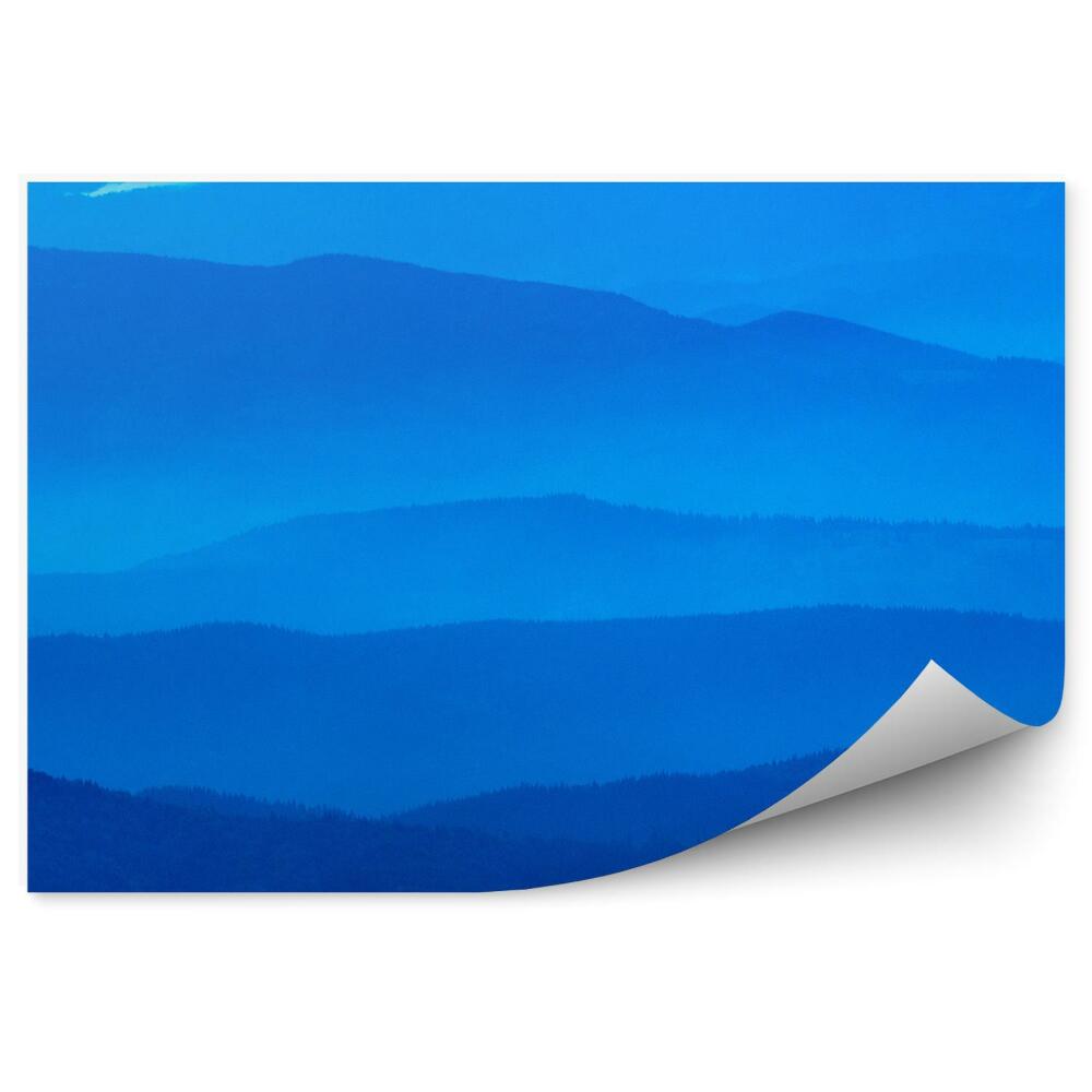 Fototapet perete Cer Albastru De Seară În Carpați