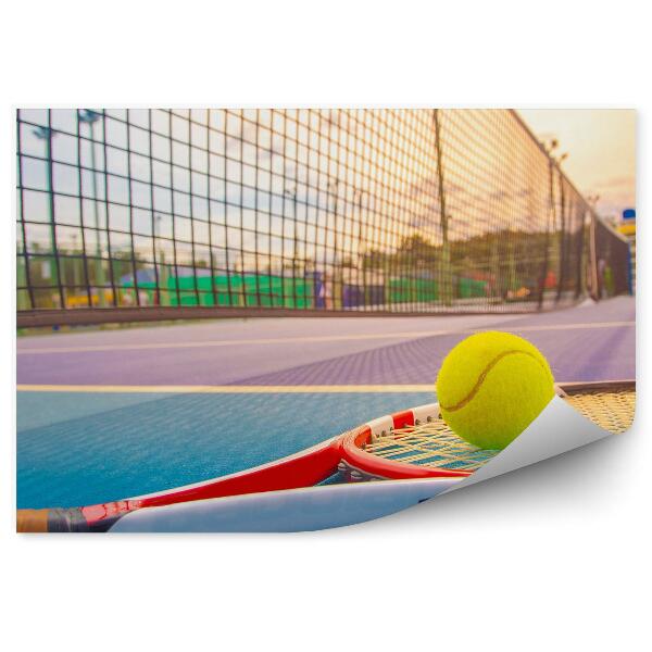 Fototapet pentru perete Teren de tenis cu rachetă de volei