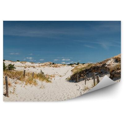 Fototapet pentru perete Cărare, Nisip, Stâlpi De Iarbă