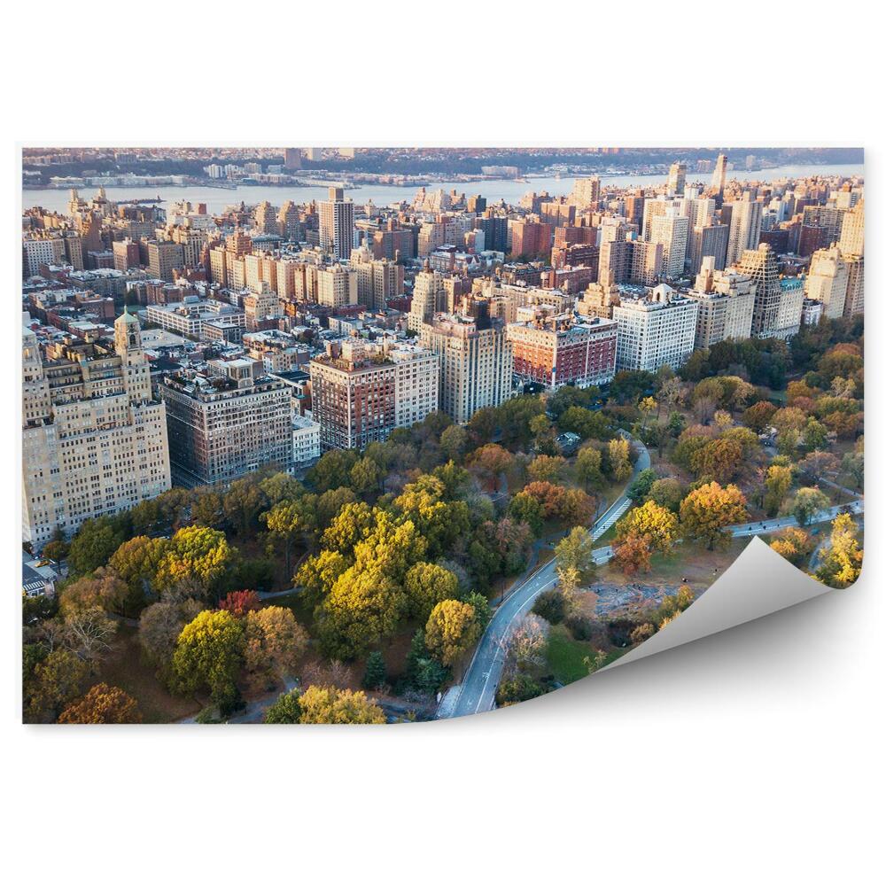 Fototapet vintage Zgârie-Nori Drum Pădure Copaci Râu New York