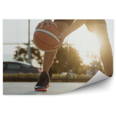 Fototapet Mașină de baschet gazon de baschet teren de baschet minge