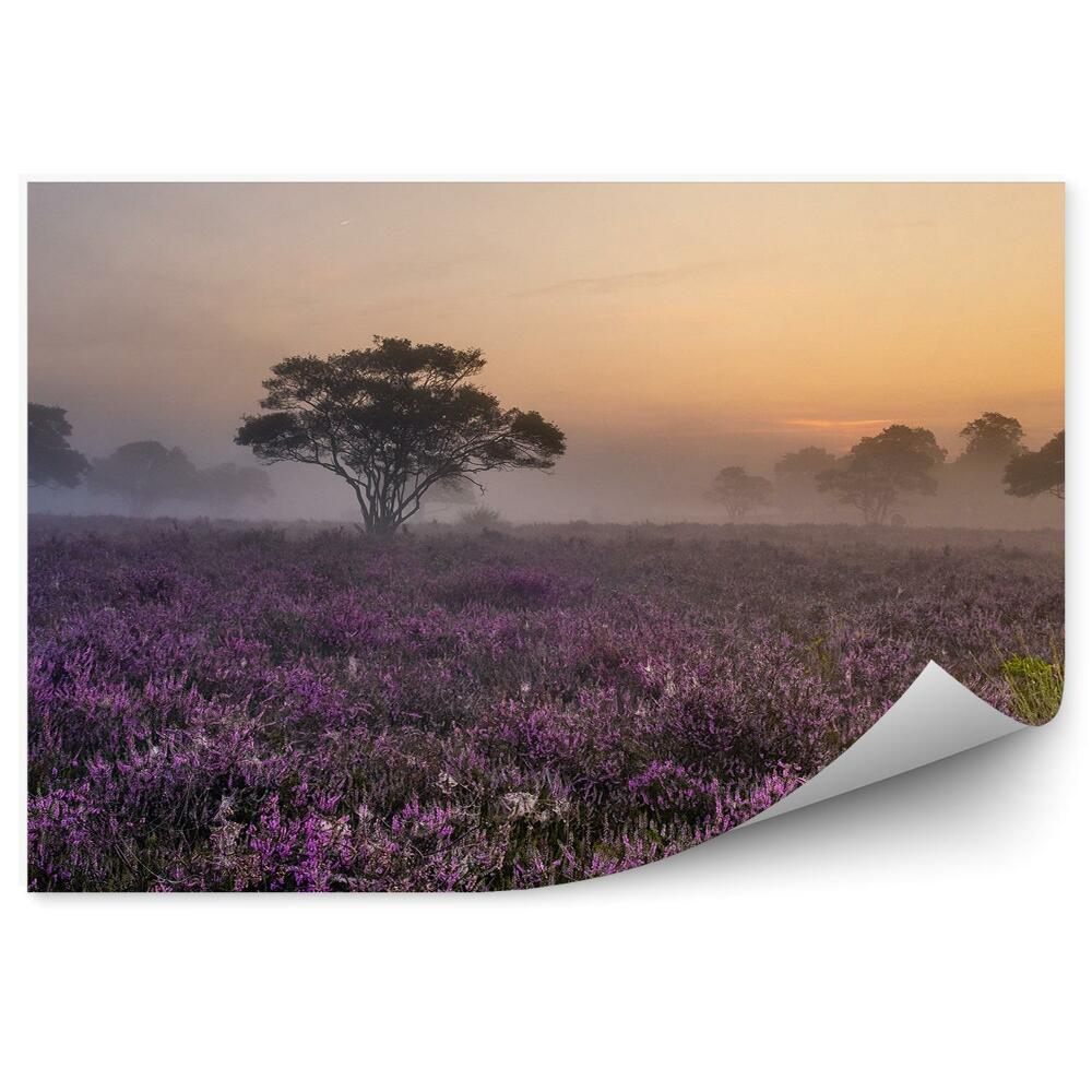 Fototapet vintage O mlaștină cețoasă