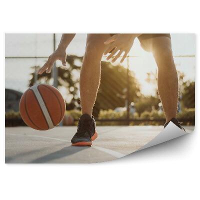 Fototapet perete Mașină de baschet pe iarbă teren de baschet minge de baschet