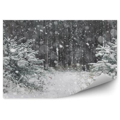 Fototapet perete Pădure De Iarnă