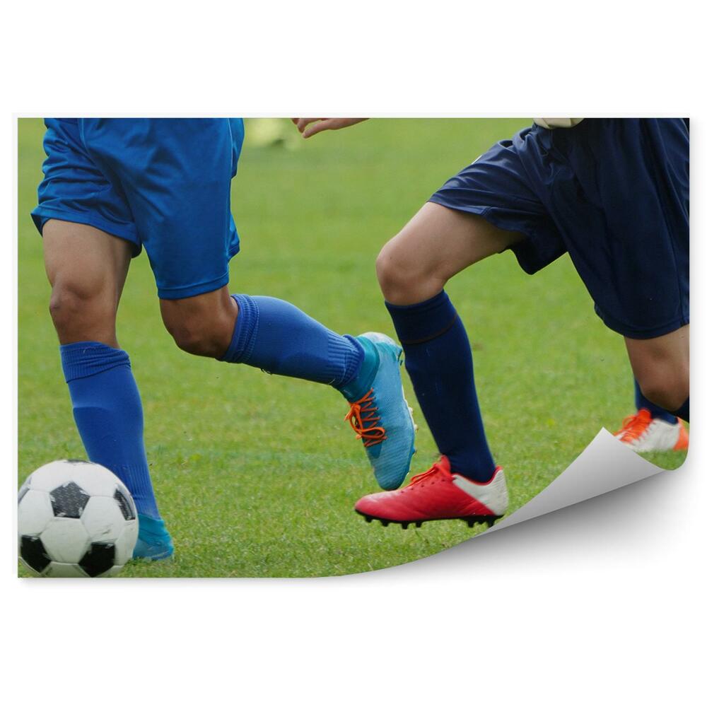 Decor fototapet Fotbal mingea de gazon