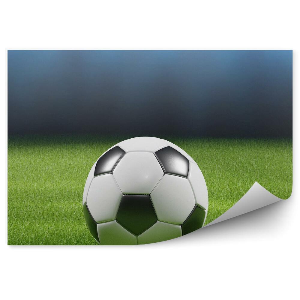 Fototapet Fotbal gazon peluză lumini de gazon