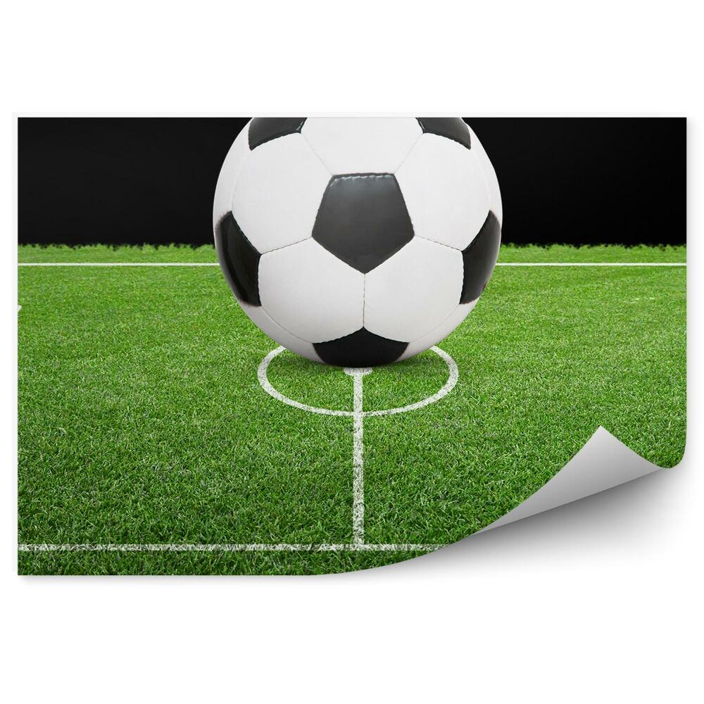 Fototapet perete Fotbal în poartă fotbal în peluză