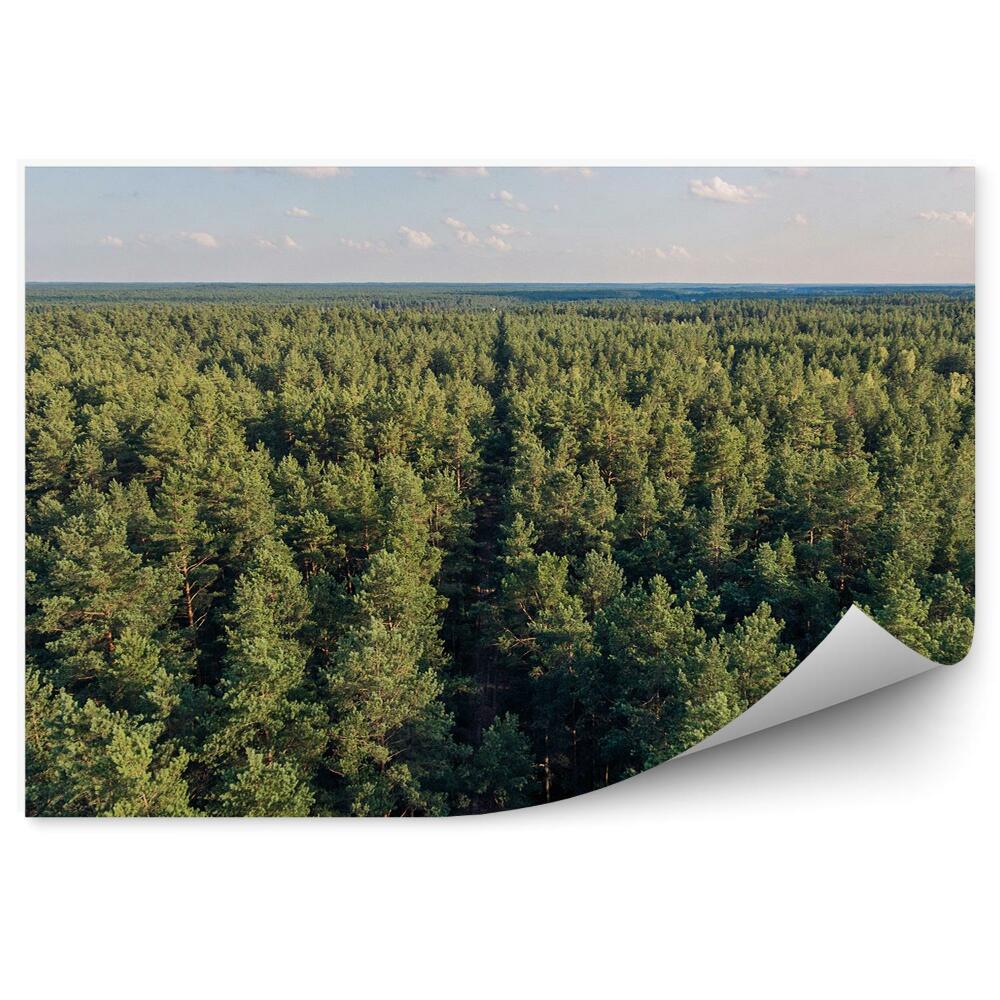 Decor fototapet Vedere Aeriană A Orizontului Pomului De Crăciun