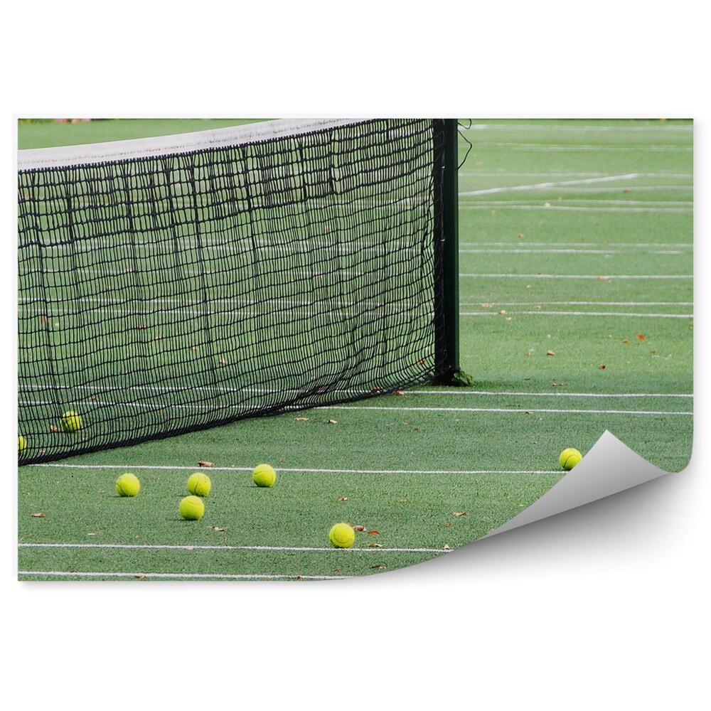 Decor fototapet teren de tenis mingi net