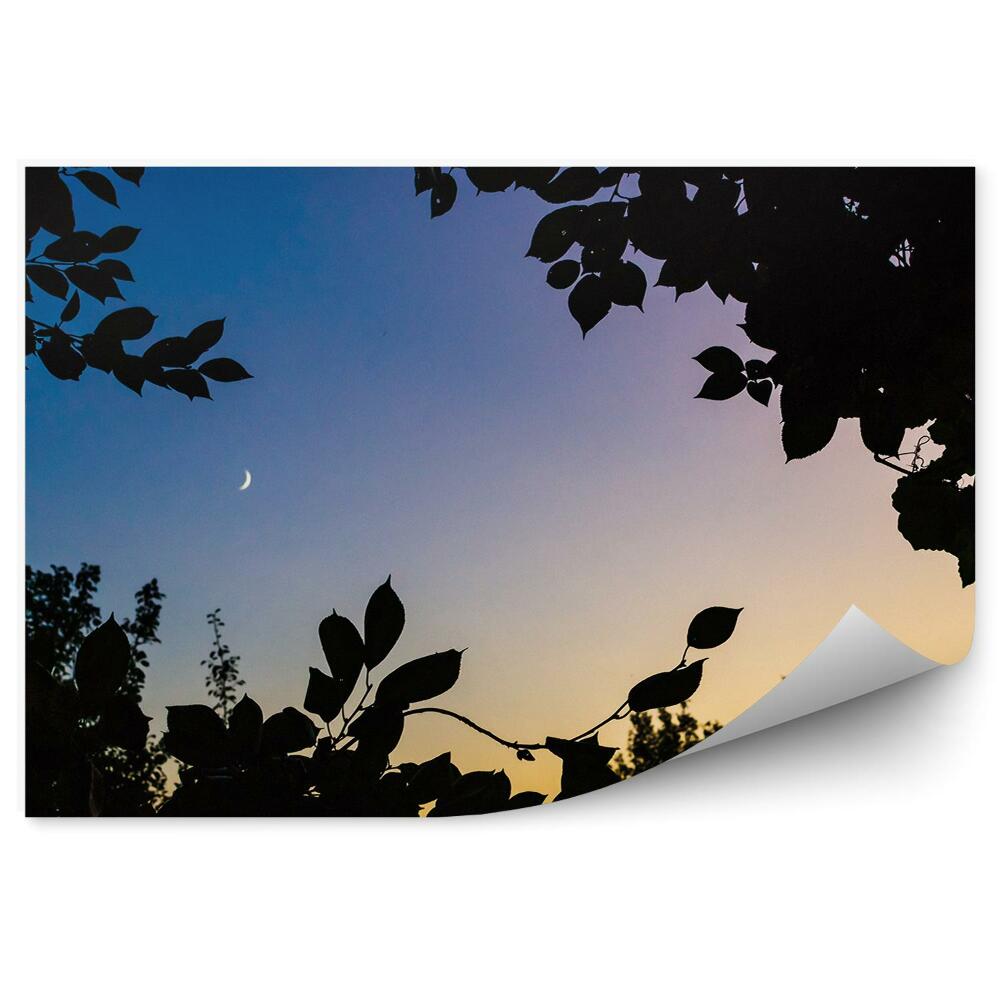 Fototapet Frunze De Apus