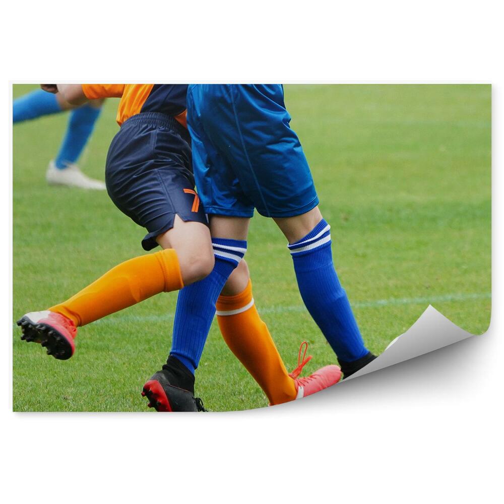 Fototapet Fotbal Gazon Fotbal