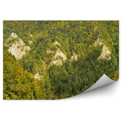 Fototapet pentru perete Rafting Pe Râul Dunajec, Munții Pieniny, Pădure