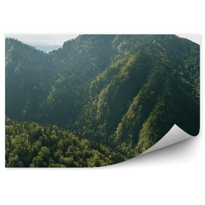 Fototapet perete Peisaj În Pieniny