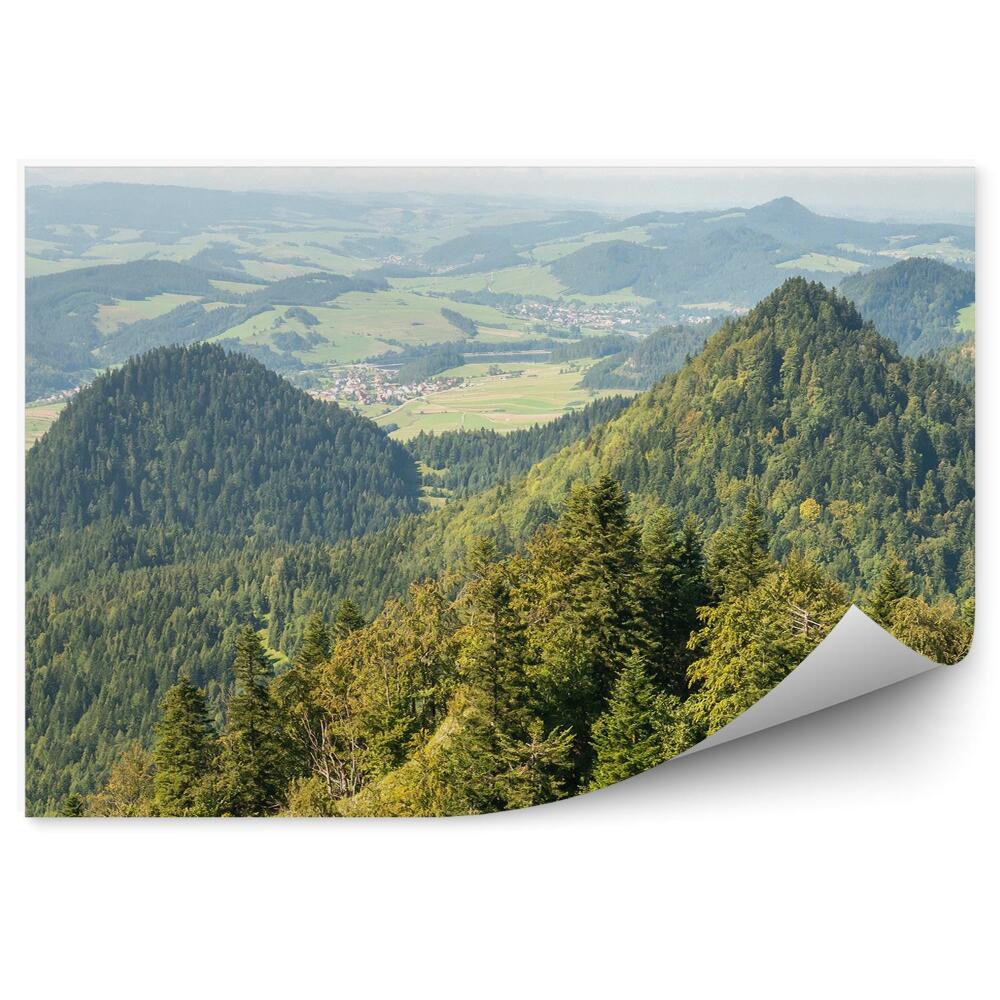 Fototapet pentru perete Munți, Vârfuri, Pieniny, Verde