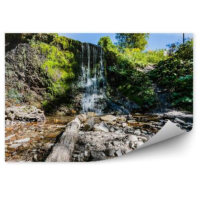 Fototapet Cascada Mică, Vegetație, Stânci, Munții Bieszczady